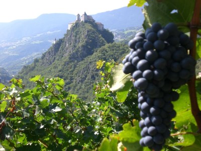 Apartment Living Suite - Environment photo 27