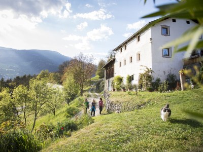 Apartment Living Suite - Environment photo 30