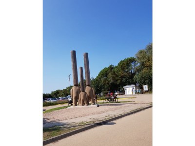 Chalet Comfort Chalet - Environment photo 22