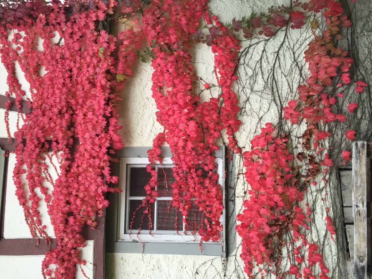 Holiday house "Gärtnerhaus" - Outdoor photo 5