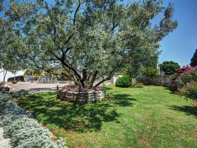 Villa Sonja - Environment photo 49