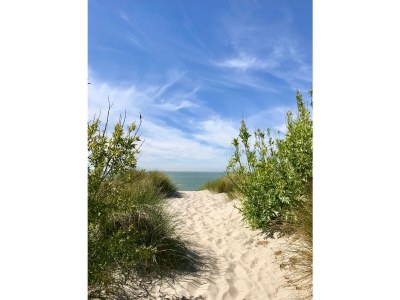 Holiday house Zeeland-Beachhouse - Environment photo 27