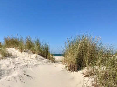 Holiday house Zeeland-Beachhouse - Environment photo 30