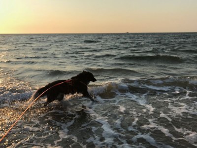 Holiday house Zeeland-Beachhouse - Environment photo 38