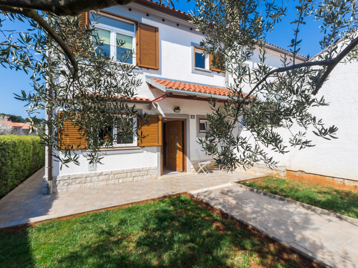 Holiday house Oliva - Outdoor photo 5