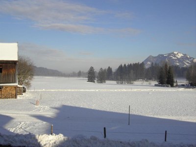 Holiday apartment Ground floor apartment in Dornröschen house (Sleeping Beauty House) - Environment photo 16