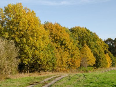 Holiday apartment 'Grüne Wohnung' - Environment photo 18
