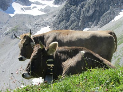 Holiday apartment Bergtraum - Environment photo 35