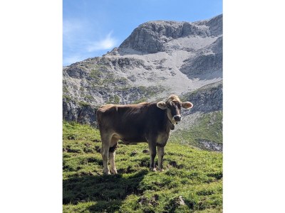 Holiday apartment Bergtraum - Environment photo 40