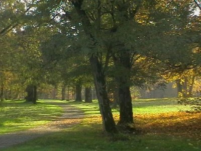 Apartment Hainer - Environment photo 17