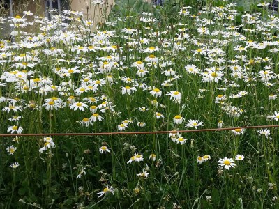 Apartment Hainer - Environment photo 18