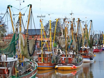 Holiday apartment Ankerplatz - Environment photo 12