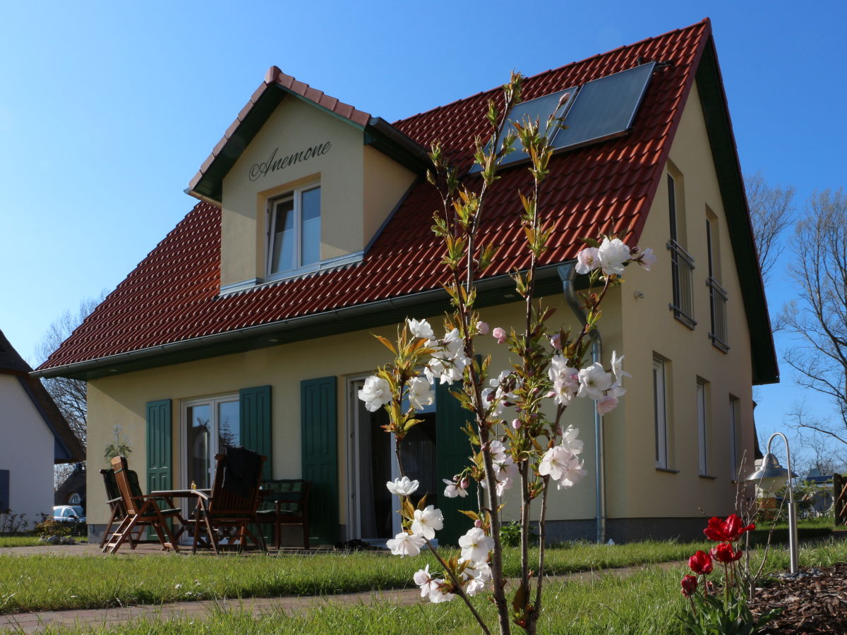 Holiday house Anemone - Outdoor photo 5