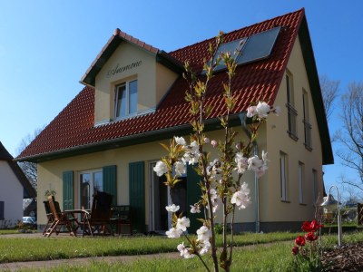 Holiday house Anemone - Outdoor photo 5