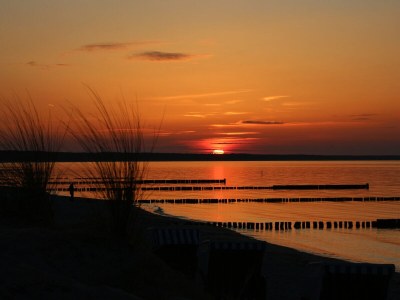 Holiday house Anemone - Environment photo 23