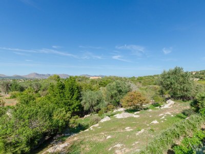Chalet Ca Na Siona (Es Turonet) - Environment photo 36