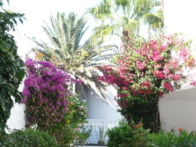 Bungalow Koralle - Outdoor photo 8