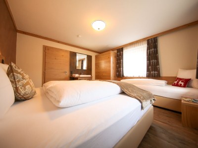 Chalet Alpinhome - Features photo 9