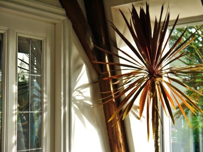 Holiday house Poelwijk - Features photo 13