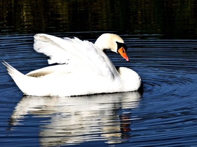 Holiday house Poelwijk - Environment photo 16