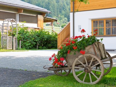 Holiday apartment Wibmerhof - Outdoor photo 3