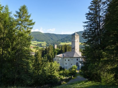 Holiday apartment Wibmerhof - Environment photo 15