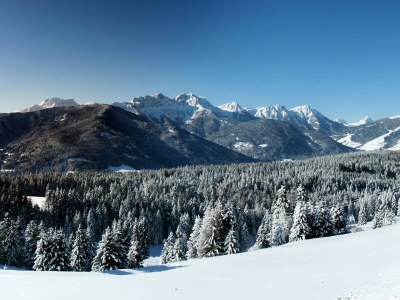 Holiday apartment Wibmerhof - Environment photo 19