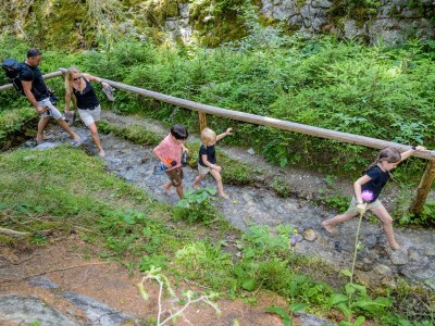 Holiday apartment Wibmerhof - Environment photo 20