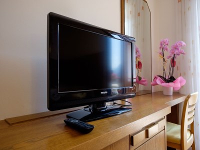 Holiday apartment BerggÃ¼tl - Features photo 9