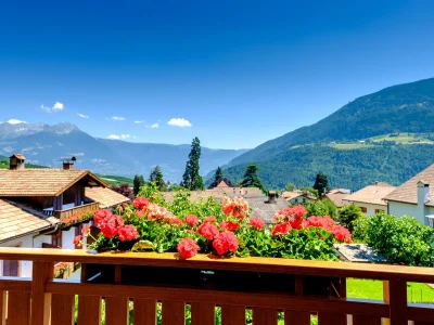 Holiday apartment BerggÃ¼tl - Features photo 16