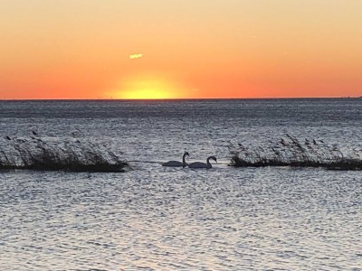 Holiday apartment Yemanya - Environment photo 29