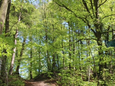 Holiday apartment Yemanya - Environment photo 30