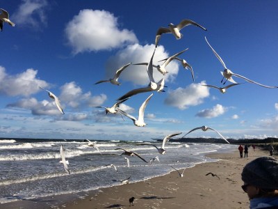 Holiday apartment Yemanya - Environment photo 34