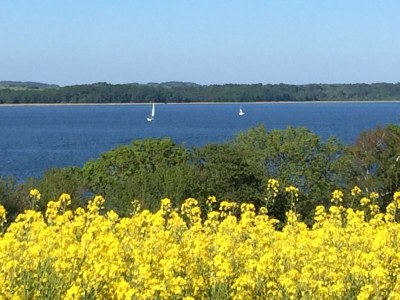 Holiday apartment Yemanya - Environment photo 38