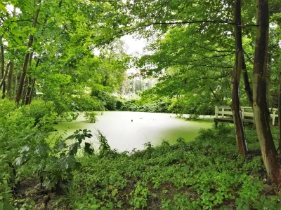 Holiday apartment Morgenrot im Malerhaus - Environment photo 12