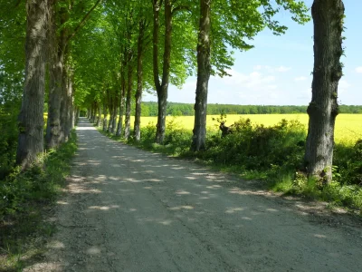 Holiday apartment Morgenrot im Malerhaus - Environment photo 14