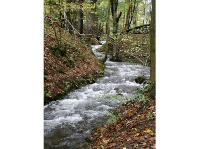 Holiday house in the house Harz holiday - Outdoor photo 7