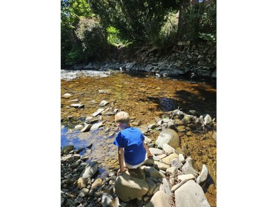 Holiday house in the house Harz holiday - Outdoor photo 21