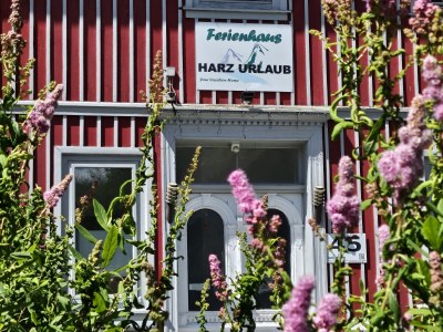 Holiday house in the house Harz holiday - Outdoor photo 23