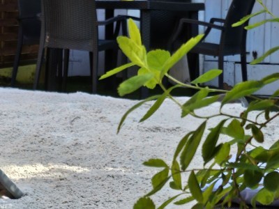 Holiday house in the house Harz holiday - Outdoor photo 26