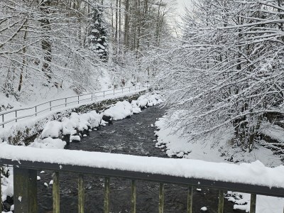 Holiday house in the house Harz holiday - Features photo 37