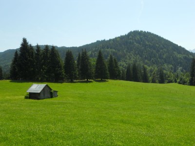 Apartment Leukel - Environment photo 13