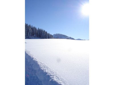 Apartment Leukel - Environment photo 18