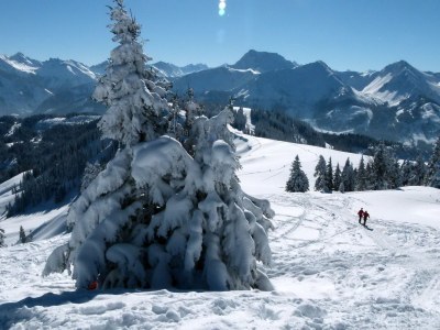 Apartment Leukel - Environment photo 19