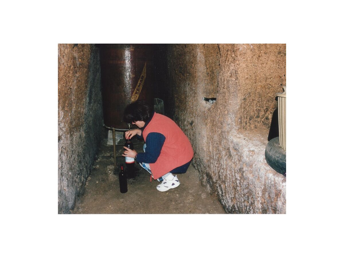 Holiday apartment House A poggio dell'Olivo - Outdoor photo 3