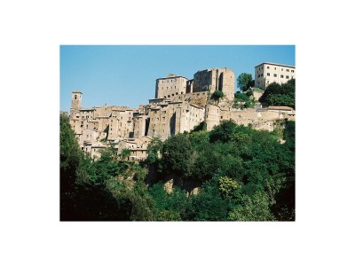 Holiday apartment House A poggio dell'Olivo - Environment photo 23