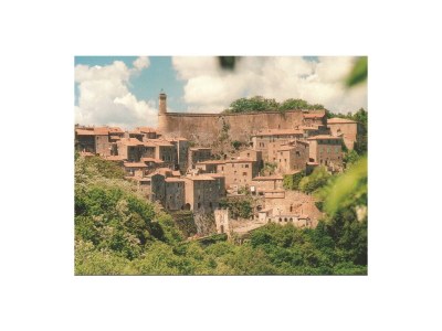 Holiday apartment House A poggio dell'Olivo - Environment photo 26