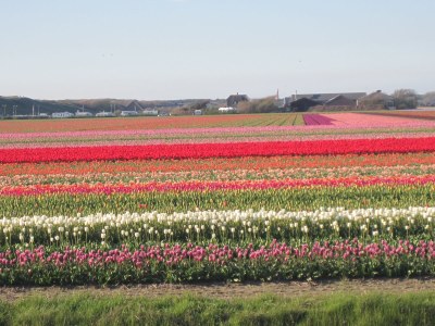 Holiday apartment Apartment 67 in Residence Juliana - Environment photo 21