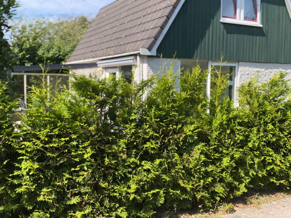 Holiday house Petersdorf - Outdoor photo 4