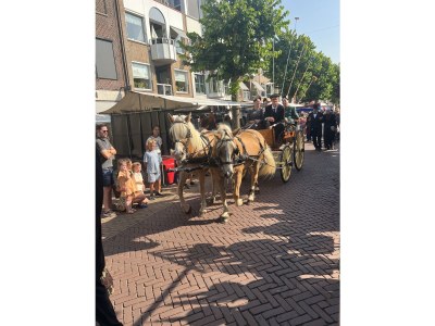 Holiday house Petersdorf - Environment photo 25